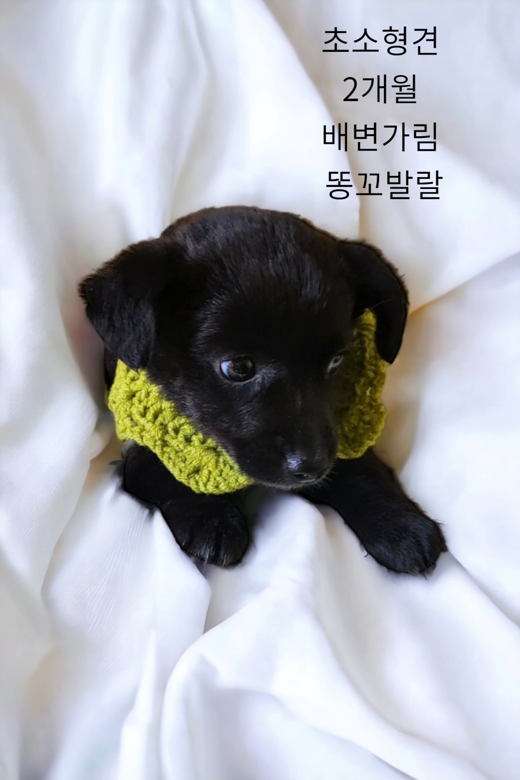 성주유기동물보호센터_447521202300137