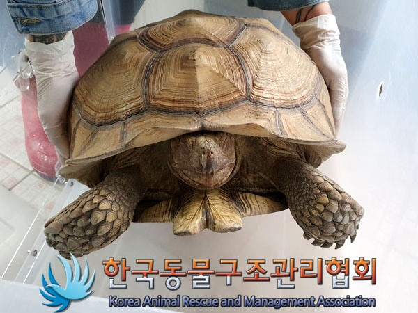 한국동물구조관리협회_411307202300115