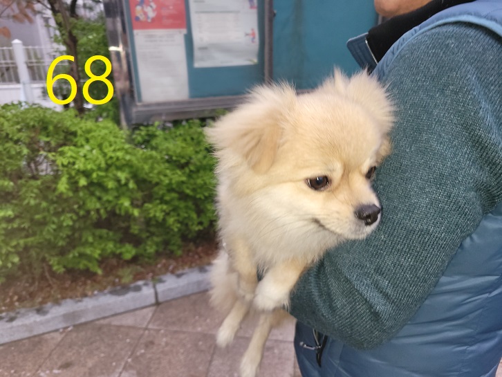 신영재동물병원_428355202300105