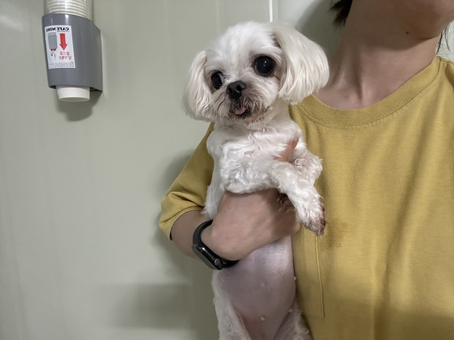 한국야생동물보호협회_441393202300482