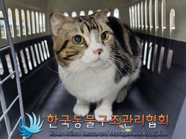 종료(자연사) 스코…