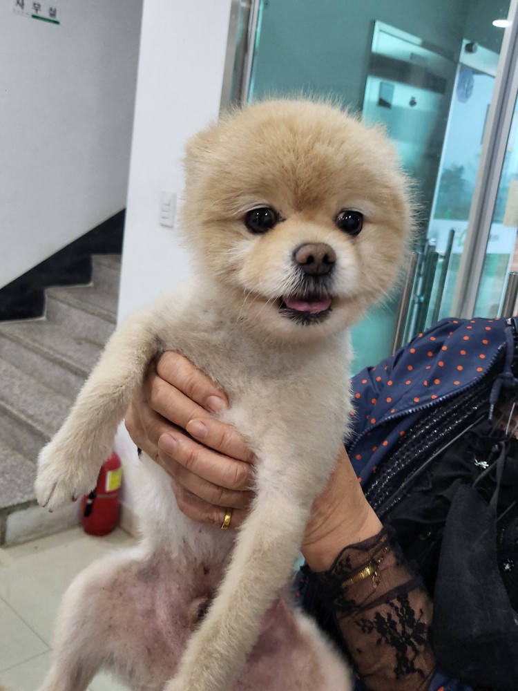 반려동물보호센터_443571202300910