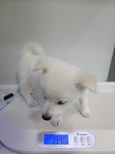 누리동물병원_426333202300095