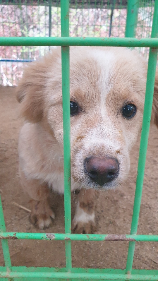 더가까운동물병원_443442202300025