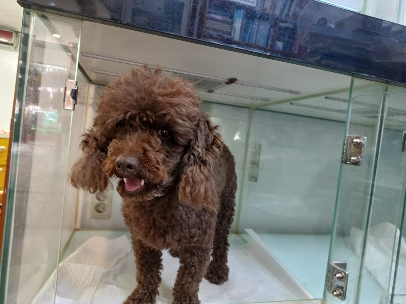 행복한동물병원_445464202301422