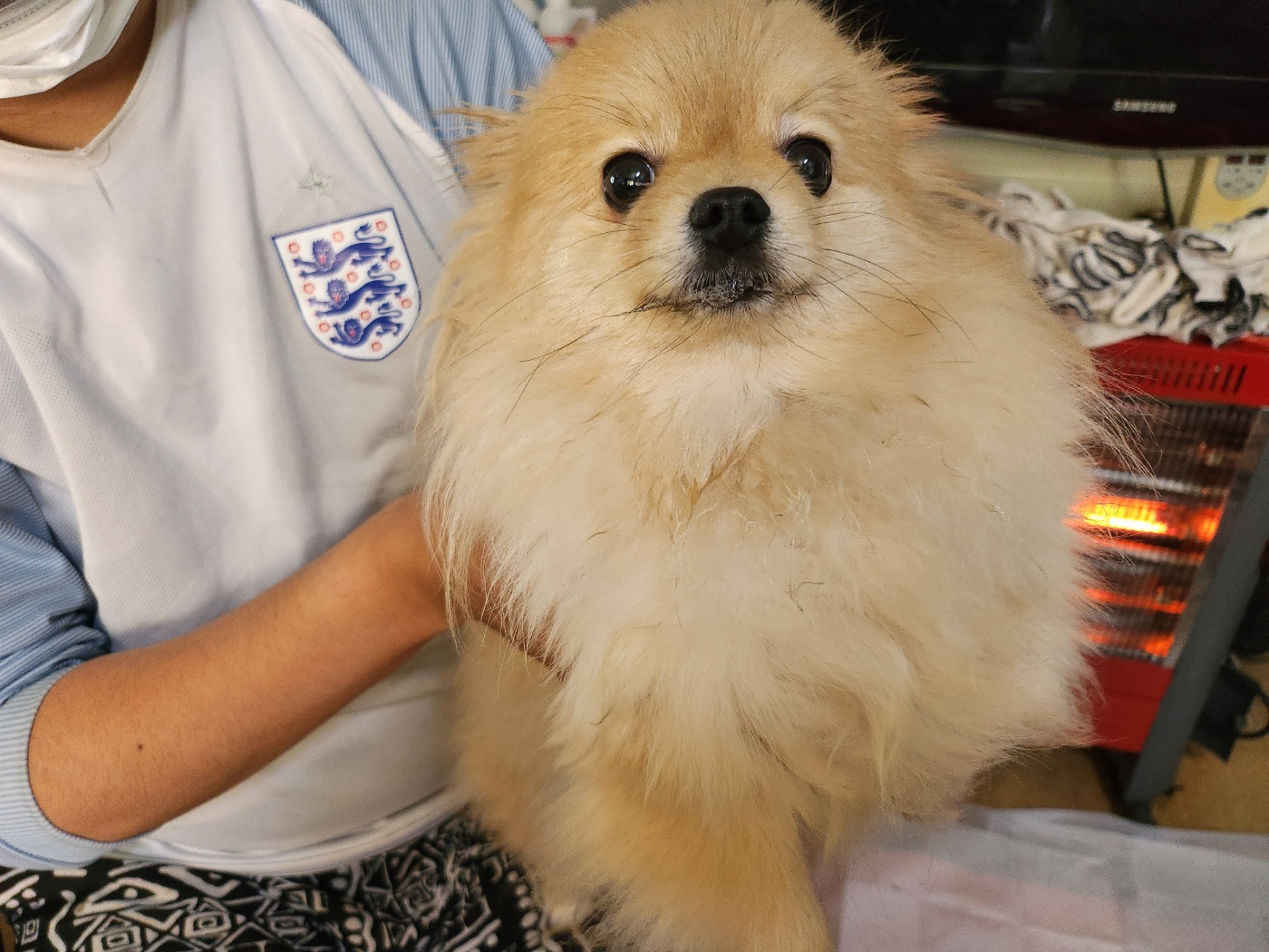 인천광역시수의사회_428353202300396