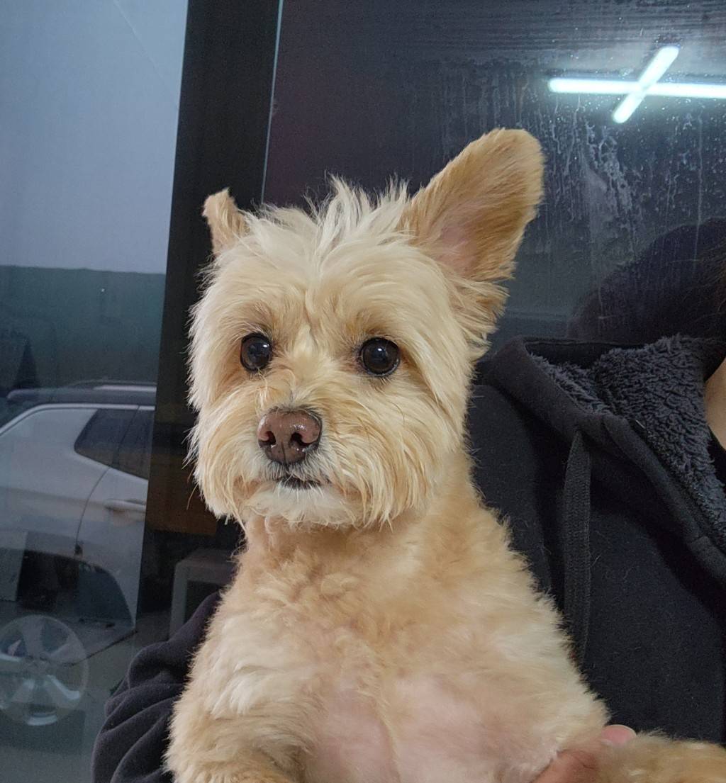 한국야생동물보호협회_441393202300495