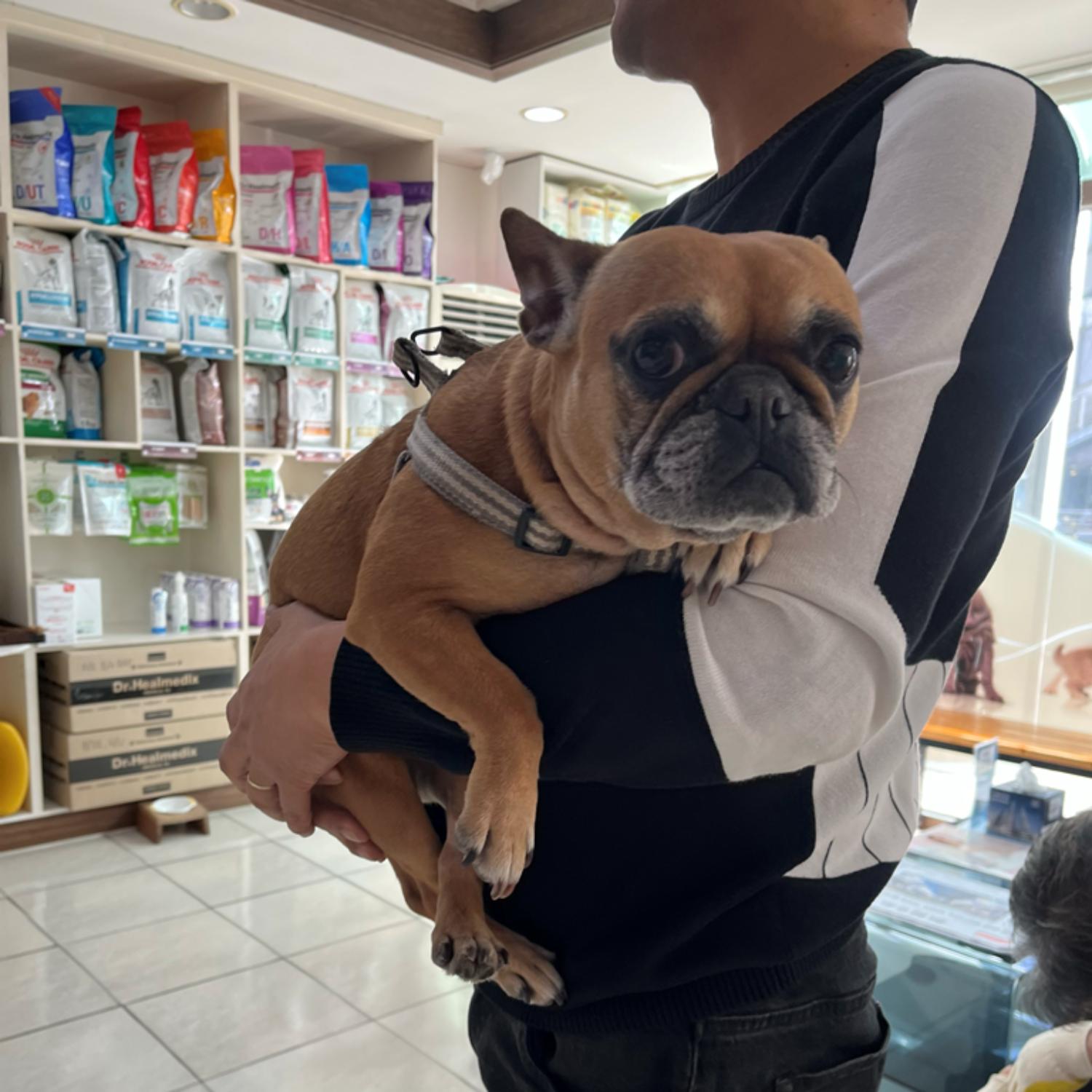 허동물병원_427346202300253