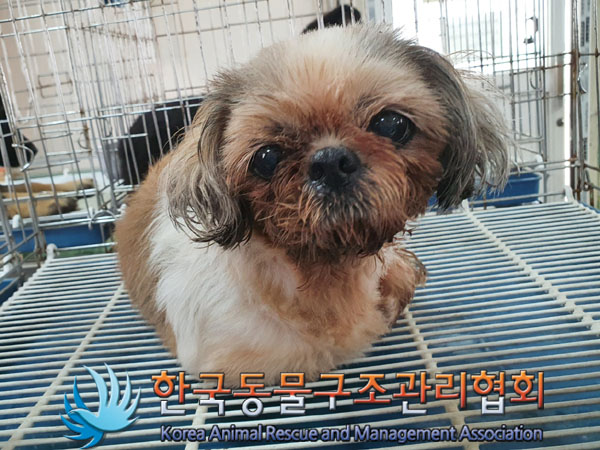 한국동물구조관리협회_441409202300488
