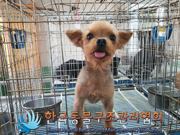 한국동물구조관리협회_441409202300487