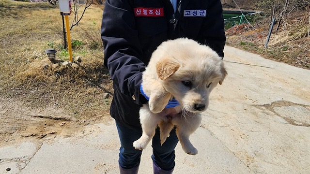 유기견임시보호소_442434202300048
