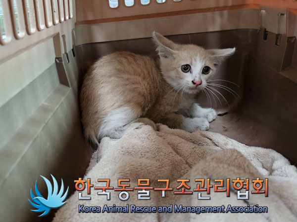 한국동물구조관리협회_411318202300149