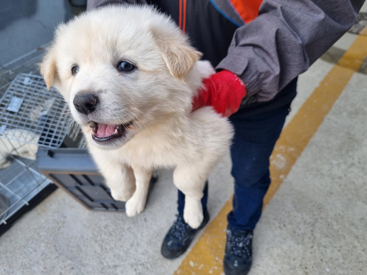 양산시 동물보호센터_448538202300171