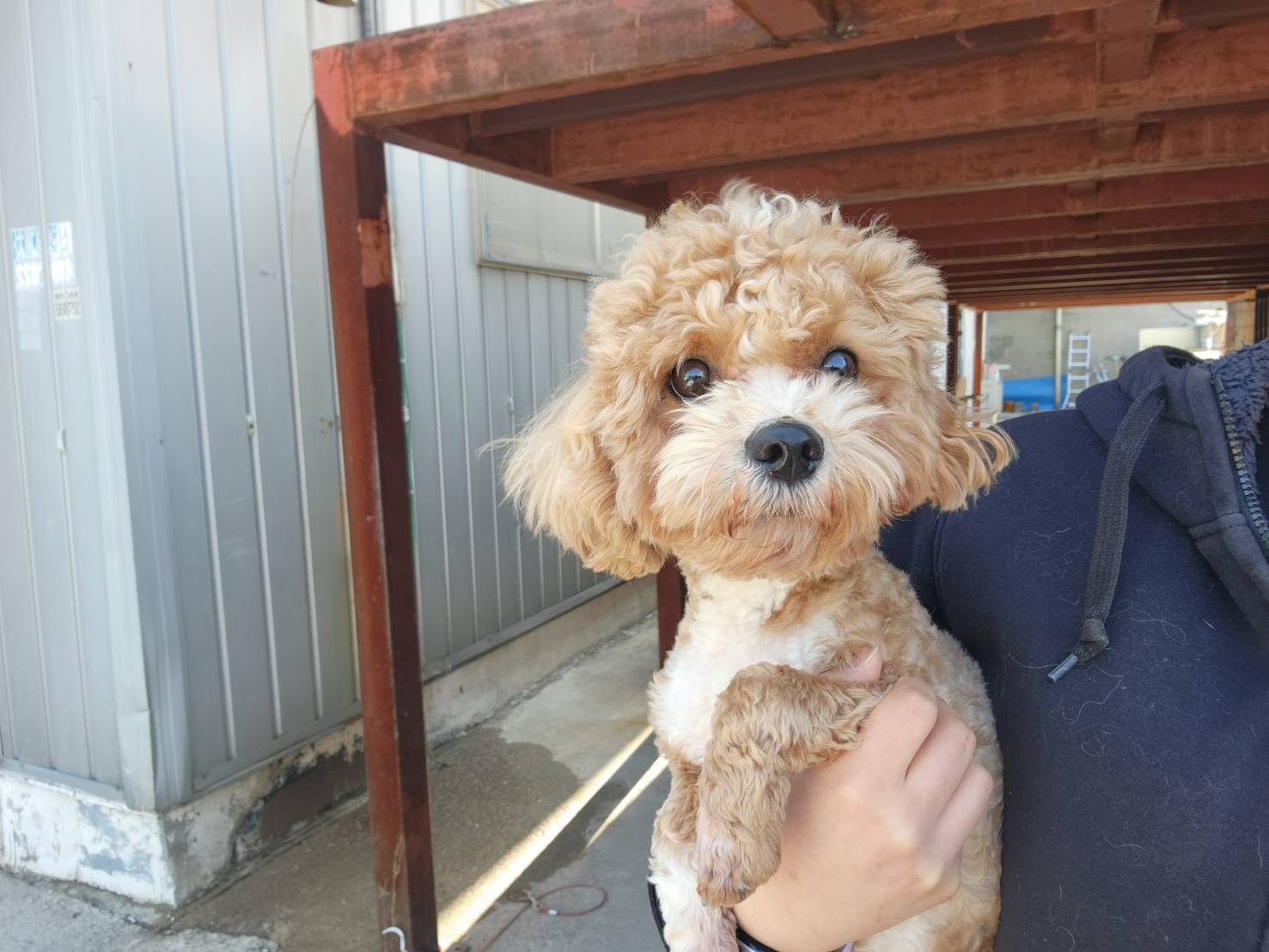 한국야생동물보호협회_441393202300502