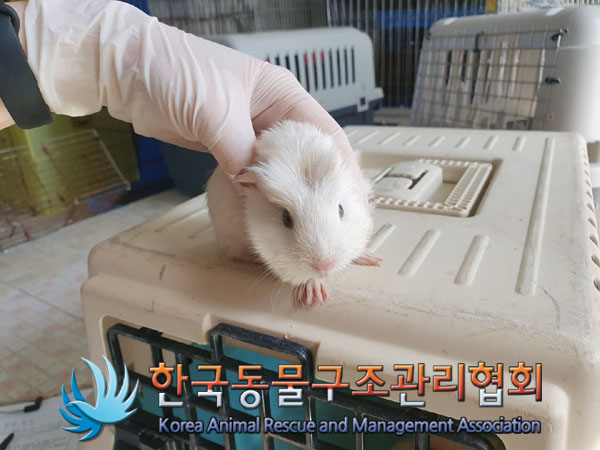 한국동물구조관리협회_411323202300178