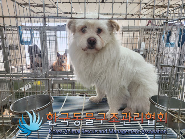 한국동물구조관리협회_441559202300190