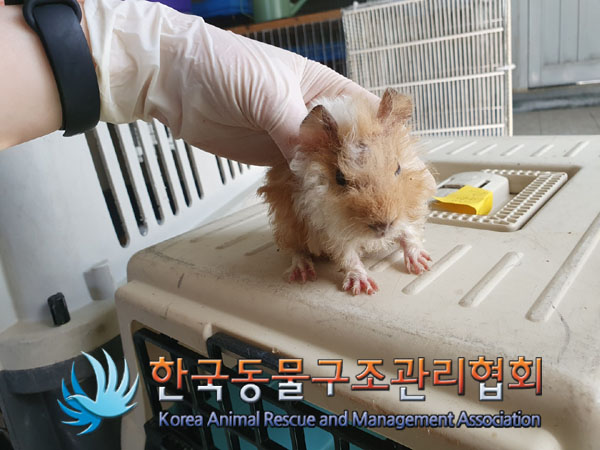 한국동물구조관리협회_411323202300184