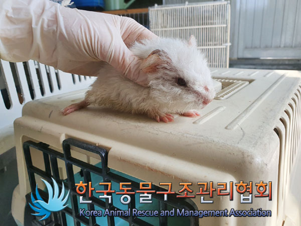 한국동물구조관리협회_411323202300181
