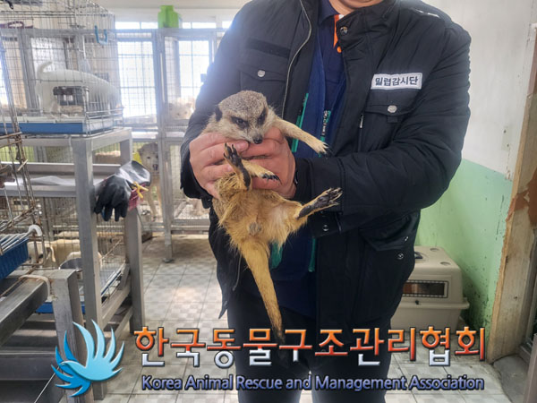 한국동물구조관리협회_411323202300173