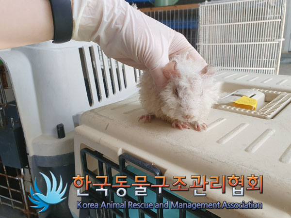 한국동물구조관리협회_411323202300183