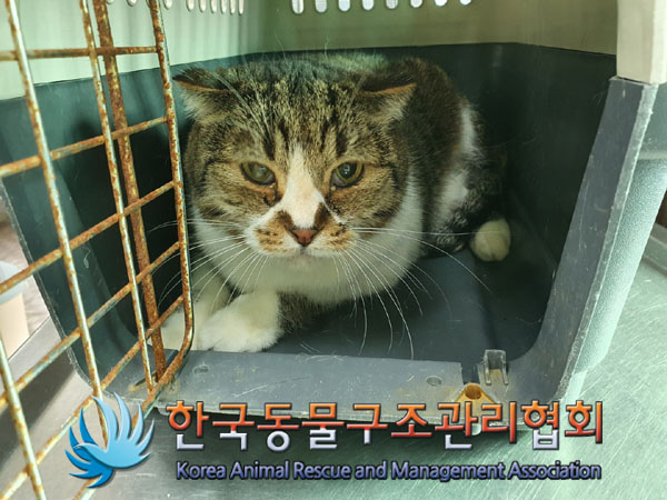 한국동물구조관리협회_411323202300174