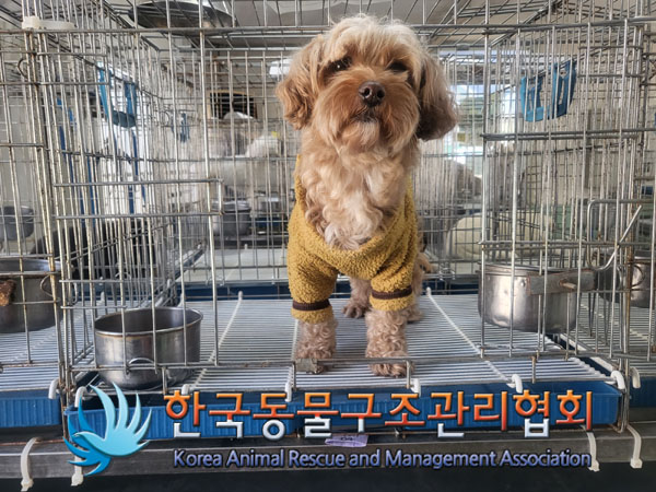 한국동물구조관리협회_411309202300141