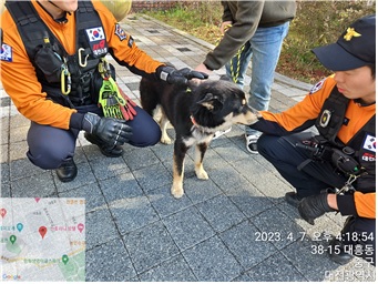 대전동물보호센터_430365202300113