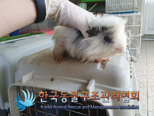 한국동물구조관리협회_411323202300196