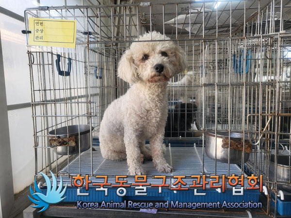 한국동물구조관리협회_411307202300120