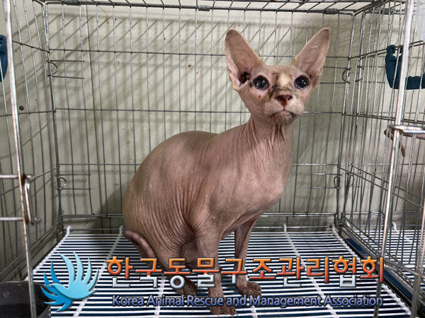 한국동물구조관리협회_411323202300177