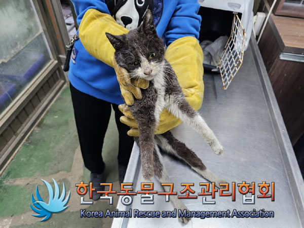 한국동물구조관리협회_441559202300200