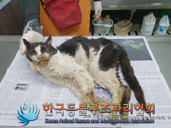 한국동물구조관리협회_411322202300223