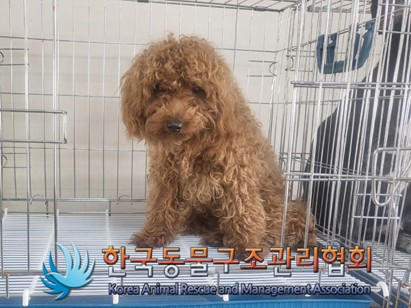 한국동물구조관리협회_411306202300228