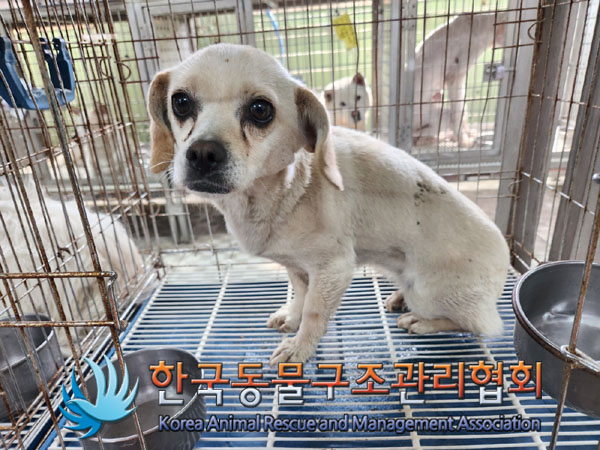 한국동물구조관리협회_441559202300196