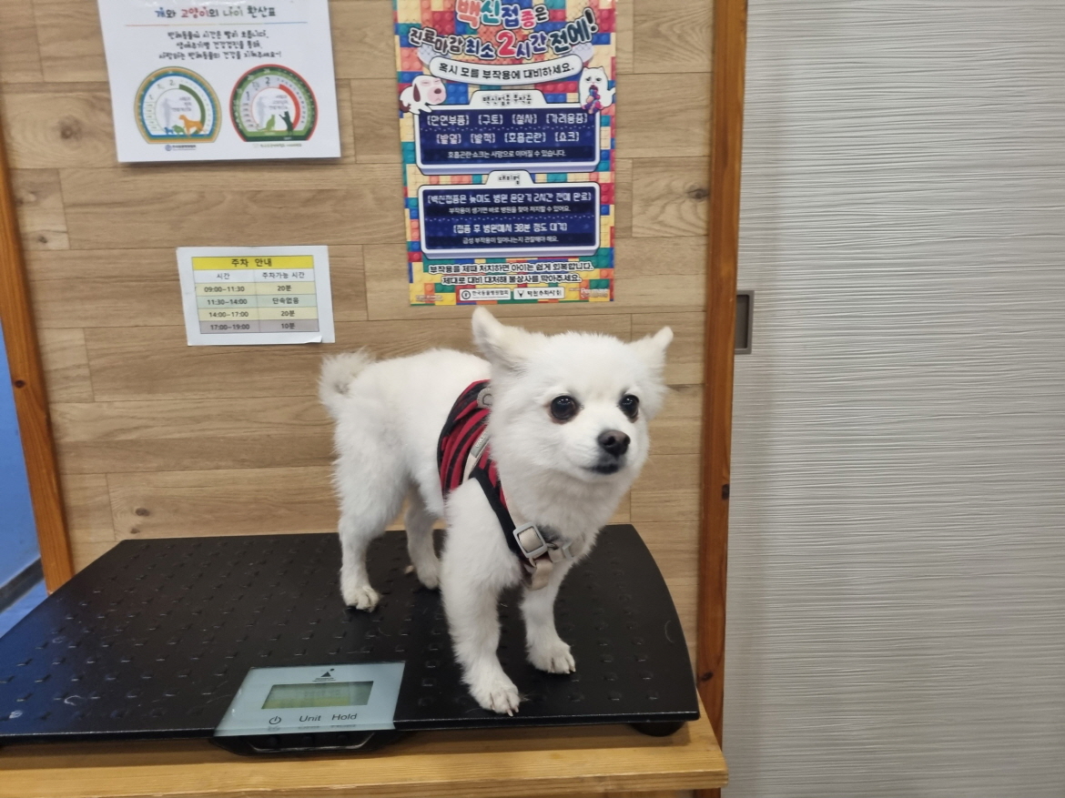 프렌즈동물병원_445464202301448