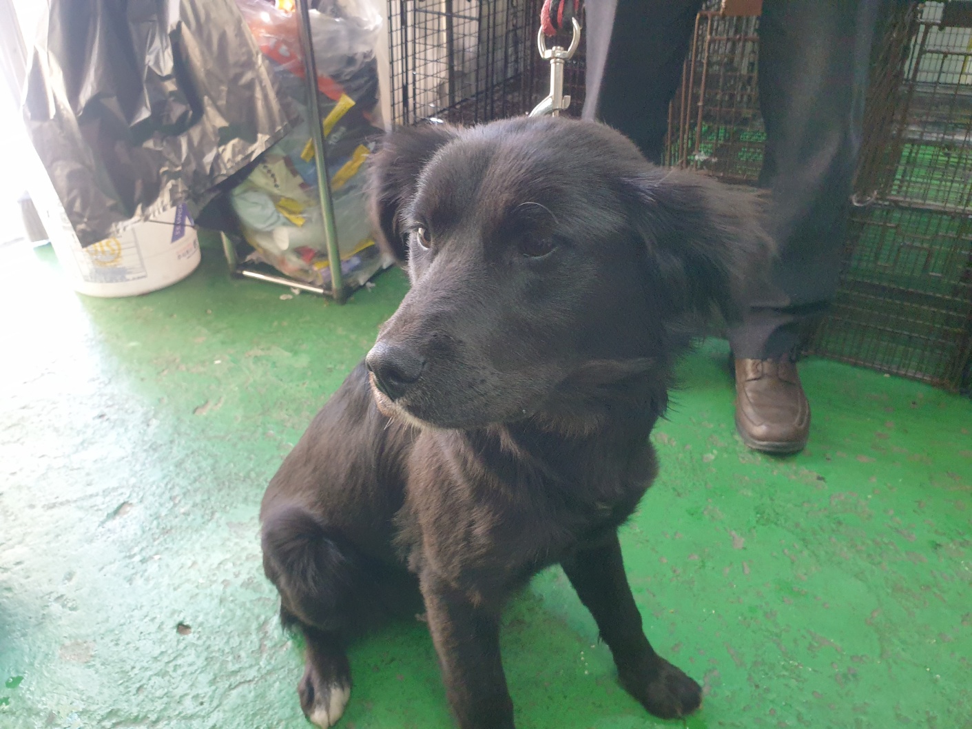 삼산종합동물병원_428354202300343