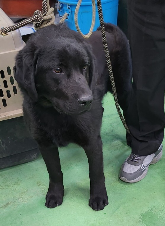 제천시 동물보호센터_443440202300078