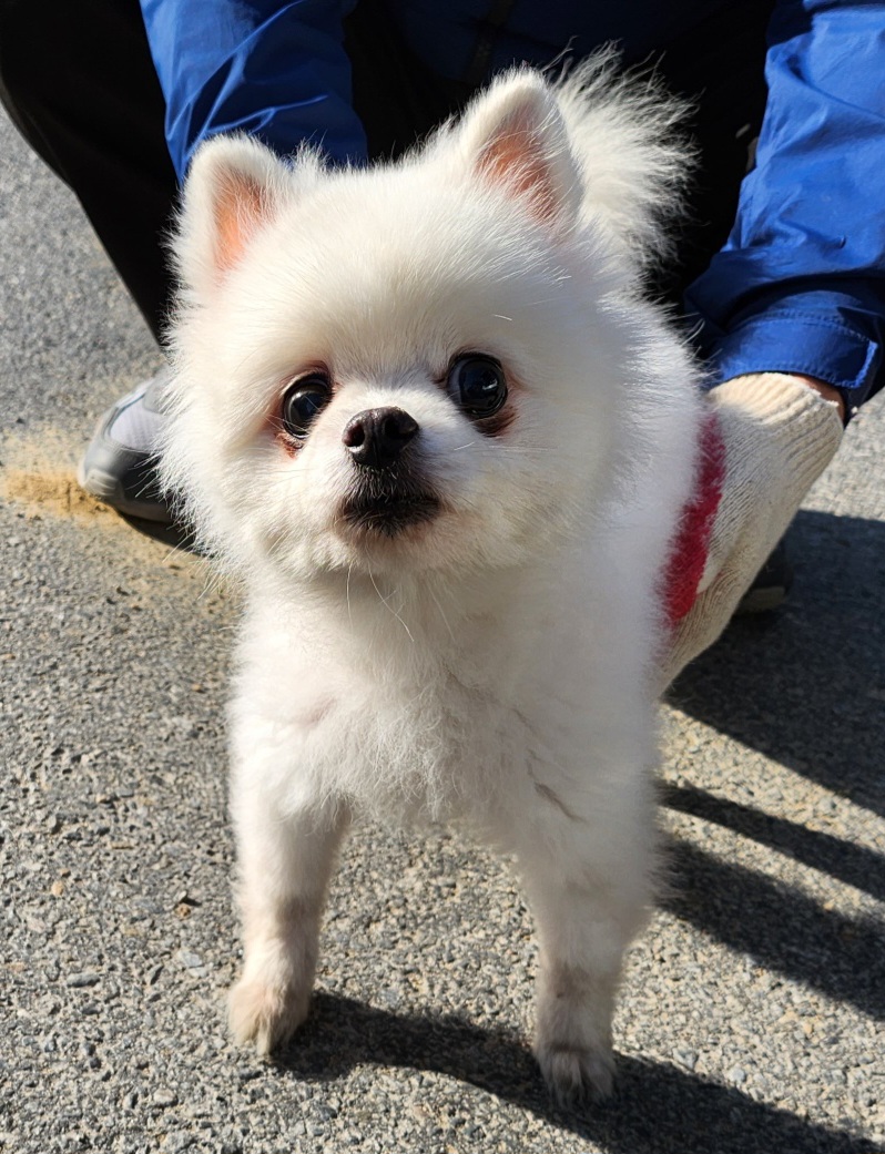 제천시 동물보호센터_443440202300079