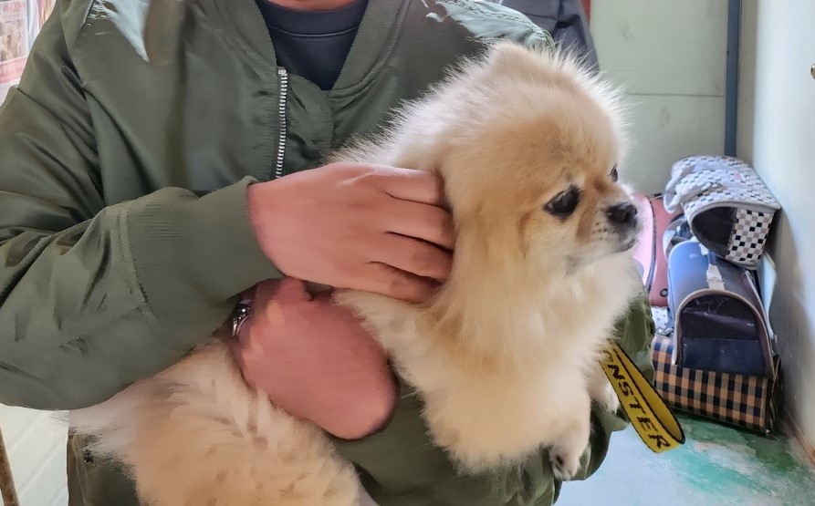인천광역시수의사회_428352202300111