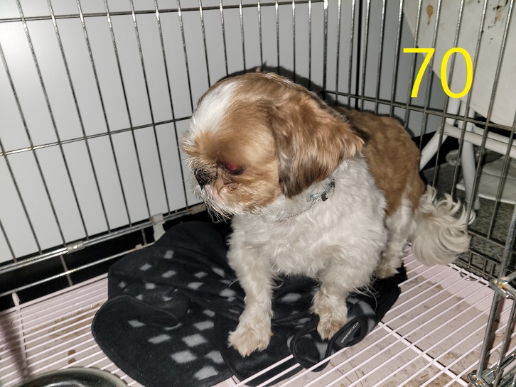 신영재동물병원_428355202300107