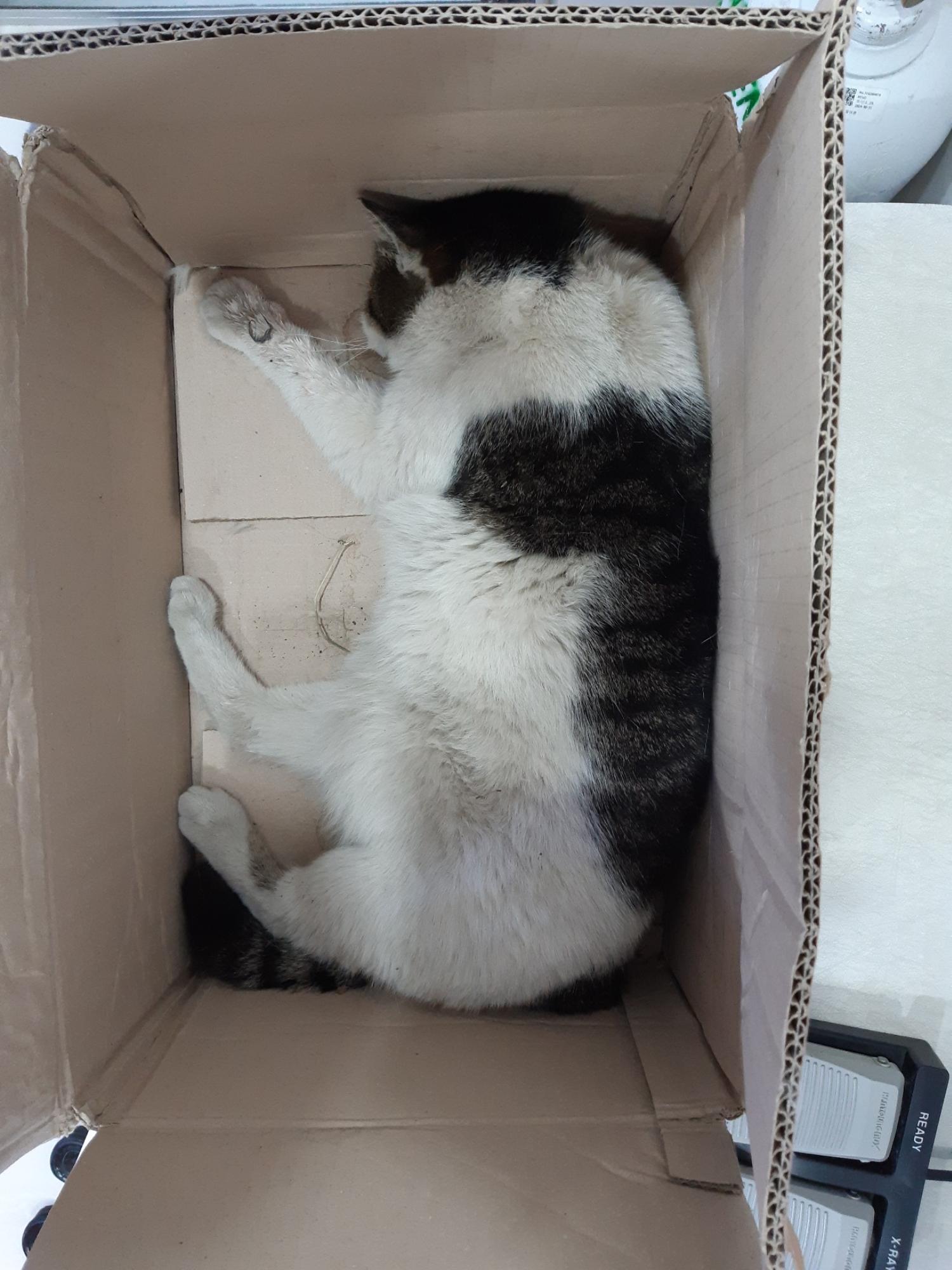 제니스동물병원_427346202300258