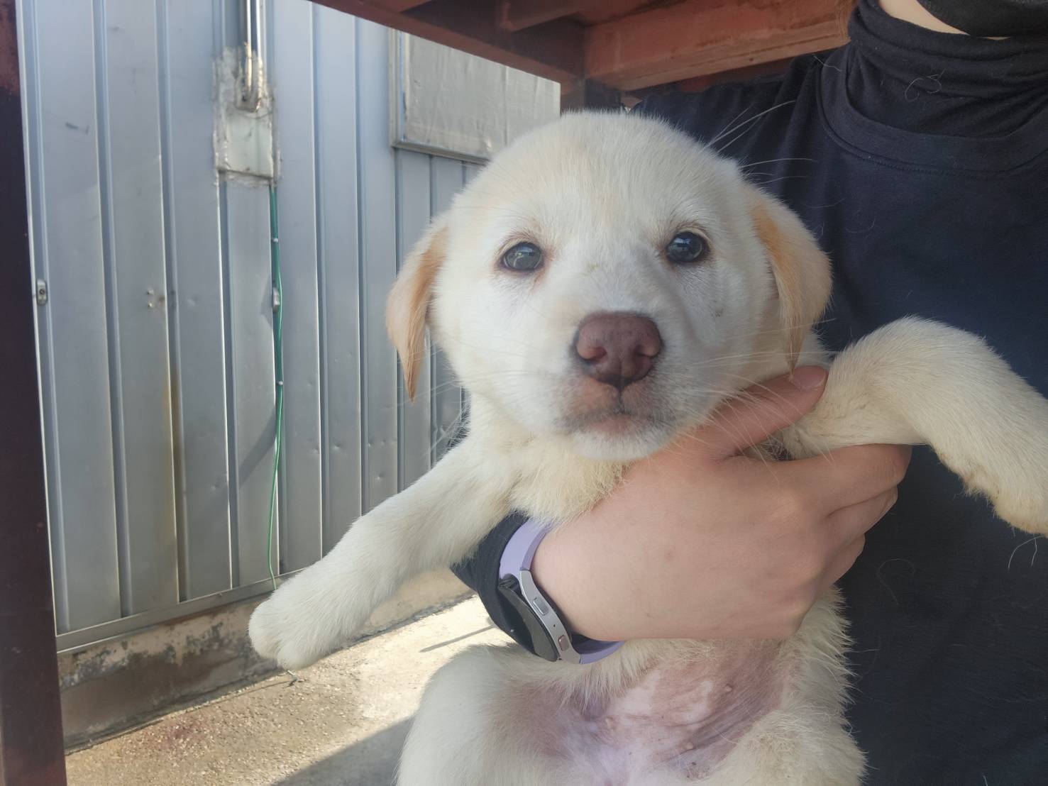 한국야생동물보호협회_441397202300079