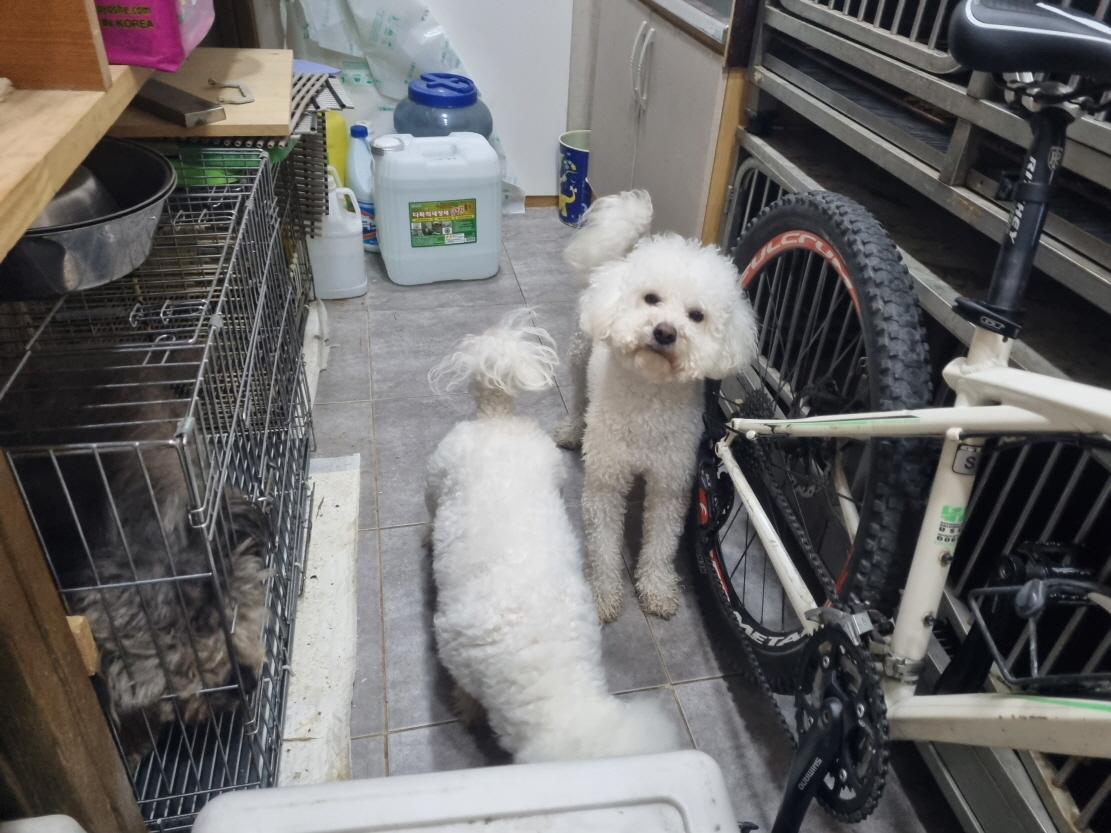 프렌즈동물병원_445464202301451