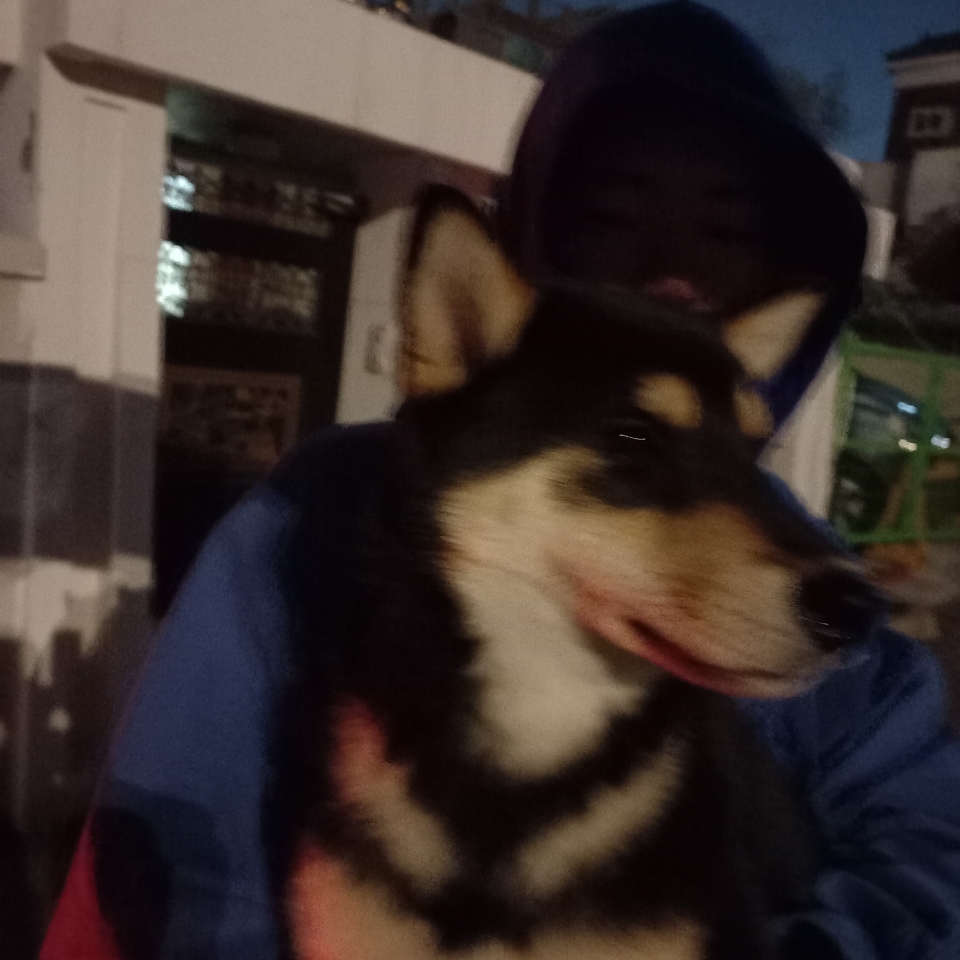 인천광역시수의사회_428351202300258