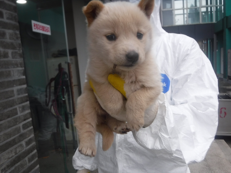 제주 동물보호센터_450650202301139