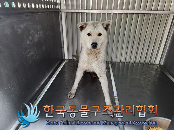 종료(안락사) 믹스…