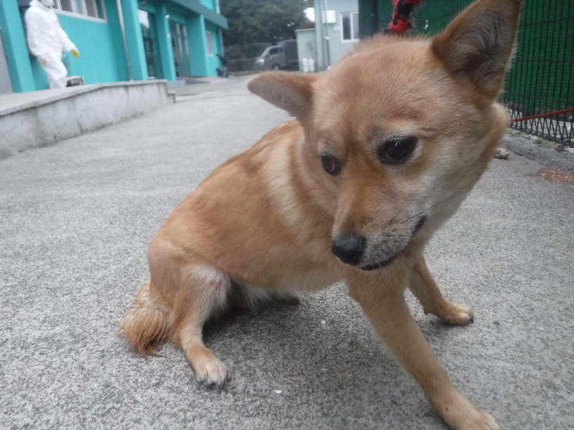 제주 동물보호센터_450650202301141