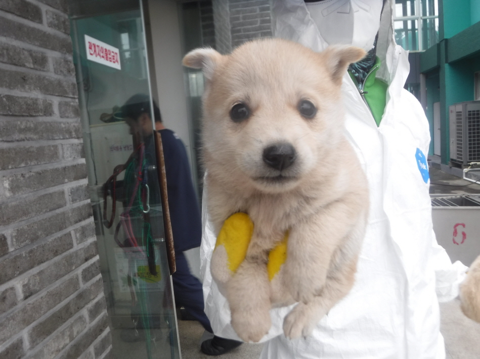 제주 동물보호센터_450650202301140