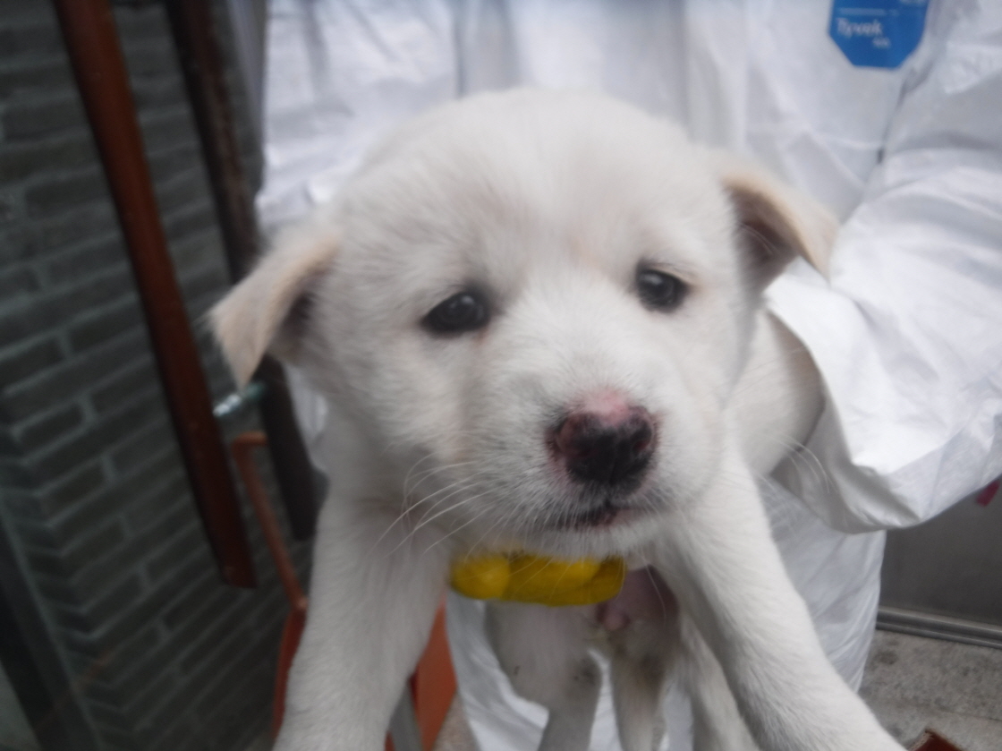 제주 동물보호센터_450650202301143