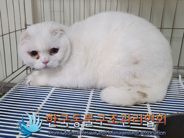 한국동물구조관리협회_411323202300218